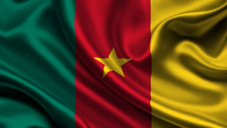 drapeau du cameroun